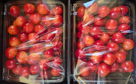 さくらんぼ 佐藤錦 紅秀峰 紅てまりのどれか1品種 1kg Lサイズ 贈答用 ＜有我果樹園＞  F7X-0229