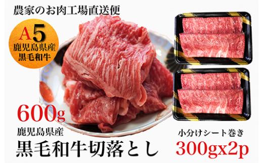 
鹿児島県産黒毛和牛5等級切落し600g(水迫畜産/013-1291)牛肉 牛 国産
