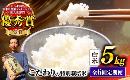 【令和7年度】 【全6回定期便】 くまさんの輝き 白米 5kg 計30kg 白米 5キロ[AYCC029]