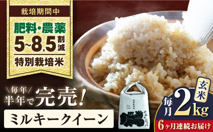 
            【先行予約/令和7年産新米】【全6回定期便】ミルキークイーン 2kg 玄米 特別栽培米  滋賀県長浜市/株式会社お米の家倉 [AQCP023] 米 定期便 玄米  2kg ミルキークイーン 特別栽培米  滋賀県産 長浜市産 こめ 玄米 白米 精米 お米 新米 食品 ふるさと納税 国産 炊きたて 米ギフト もちもち ブランド米  食卓 美味しい 産地直送 節約 人気
          