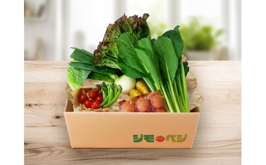 a90-009　【定期便 全12回】ジモベジ 野菜 ハーフセット