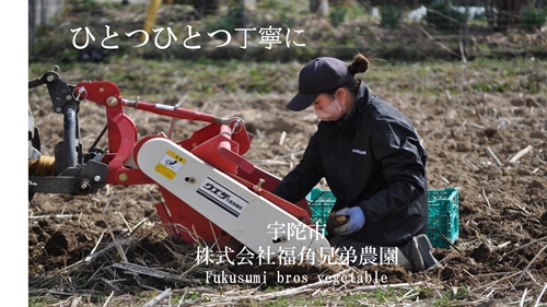紫菊芋パウダー 100ｇ入 3袋 約60日分／菊芋 紫 薬草 腸活 水溶性食物繊維 イヌリン 朝食前 水 コーヒー ヨーグルト 奈良県 宇陀市
