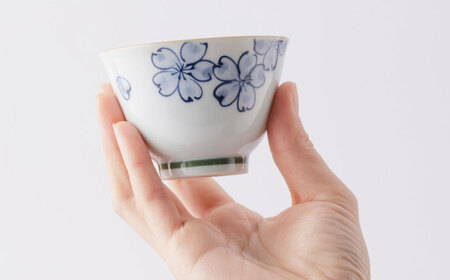 【葉月窯】茶器 5個セット[UCS019]