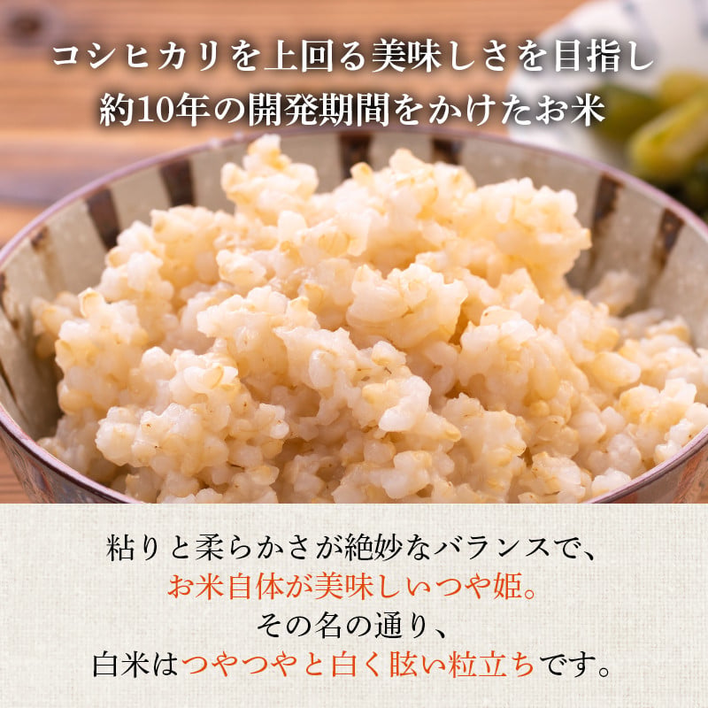 米 3回 定期便 令和7年産 つや姫 10kg 有機JAS 玄米 [農家の蔵出し米生産組合 山形県 高畠町 tk06ays900013] コメ ご飯 ごはん お米 ブランド米