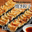 【ふるさと納税】【ミシュランガイド掲載】点心専門店の手づくり焼き餃子 120個/4.2kg(タレ・作り方付き) | 水餃子 餃子 ギョーザ 餃子 ギョーザ 点心 本格中華 冷凍餃子 餃子 ギョーザ 点心 中華 点心 中華料理 おすすめ人気 冷凍餃子 ぎょうざ ギョウザ 餃子 愛媛県 松山市