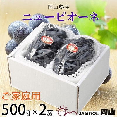 【2025年8月発送】ご家庭用　岡山県産　ピオーネ　500g×2房【配送不可地域：離島】【1409693】