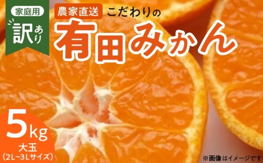 
                  【2026年先行予約】こだわりの 有田みかん 大玉 5kg (2L～3Lサイズ)【訳あり 家庭用】_ZT6300
                
