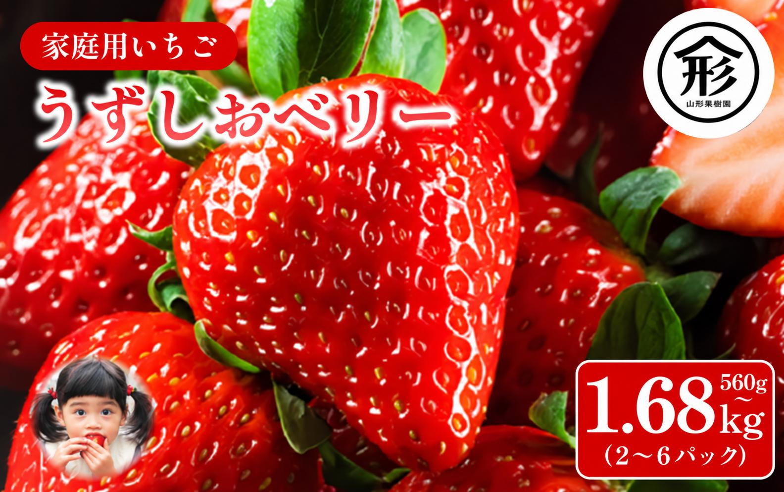 
                  【2027年 先行予約】いちご 苺 2パックから6パック 560g～1.68kg 1月～4月末まで発送 うずしおベリー 果物 フルーツ デザート 旬 新鮮 季節 冬 人気 ケーキ おすすめ ギフト プレゼント 贈答 家庭用 先行予約 送料無料 ichigo 徳島
                