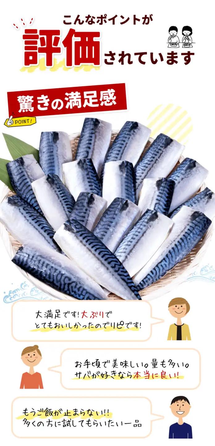 訳あり 塩サバ 1kg サバ 西川