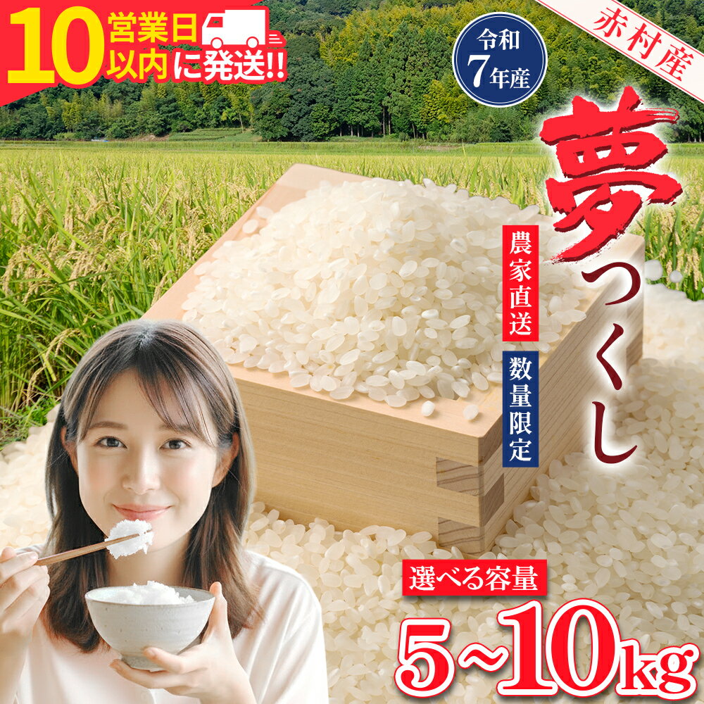 【ふるさと納税】【10営業日以内に発送】 赤村産米 農家直送【数量限定】おこめ こめ 米 精米 夢つくし 5kg～10kg 福岡県 赤村 (品番：4U1-S/4U2)