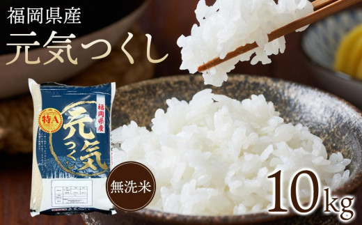 【令和7年産】福岡県産ブランド米「元気つくし」無洗米　10kg【米 ブランド米 ブランド 白米 元気つくし 無洗米 令和7年産 家庭用 お取り寄せ お土産 福岡県産 取り寄せ グルメ 福岡県 大任町 AS051】