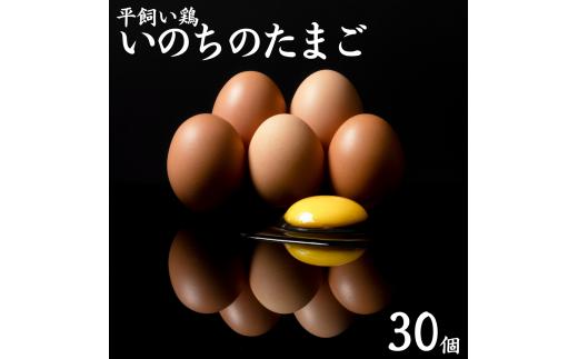 111M.平飼い鶏の『いのちのたまご』30個
