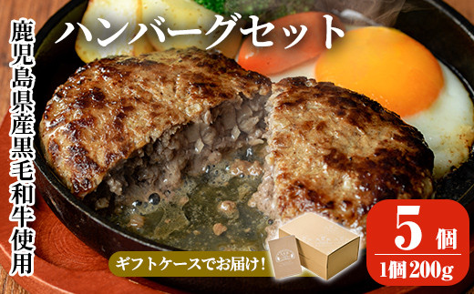 
a750 鹿児島県産黒毛和牛ハンバーグセット(200g×5パック)【AKR Food Company】姶良市 国産 牛肉100% 冷凍 小分け
