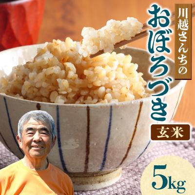 ふるさと納税 雨竜町 令和7年産 川越さんちの おぼろづき 玄米 5kg (5kg×1袋)