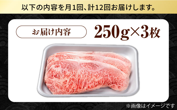 【12回定期便】佐賀県産 黒毛和牛 贅沢 サーロイン ステーキ 250g×3枚（計750g）【株式会社いろは精肉店】佐賀産和牛 牛肉 [IAG092]