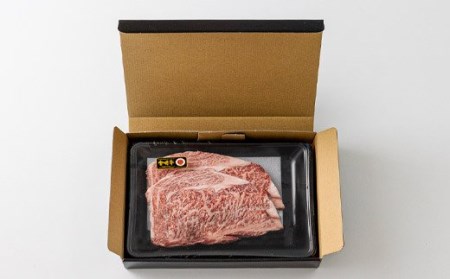 宮崎牛ロースステーキ 2枚（500g）　特番542