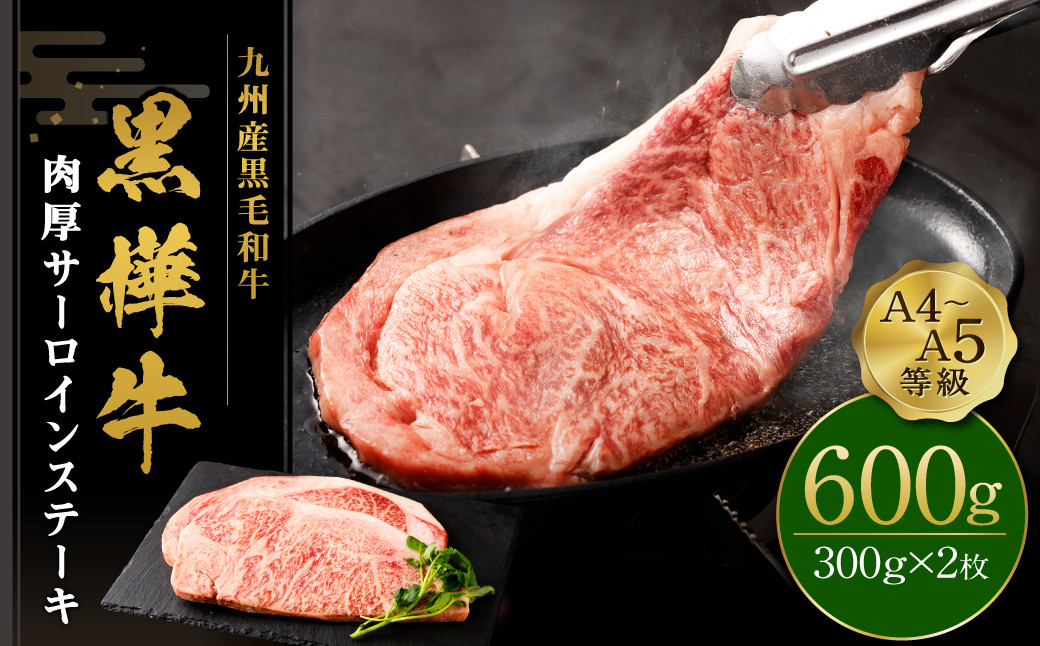 
            ステーキ 牛肉 A4-A5等級 肉厚サーロインステーキ 600g(300g×2パック) ビーフ ロース アウトドア おかず 肉 キャンプ すてーき 牛 和牛 黒毛和牛 冷凍 熊本県産 九州産 国産 九州産黒毛和牛 杉本本店 黒樺牛 A4～A5等級 肉厚サーロインステーキ 300g×2 計600g
          