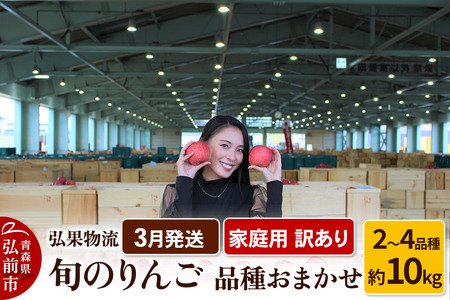 りんご【3月発送】家庭用 訳あり 旬のりんご 品種おまかせ 約10kg 2品種～4品種