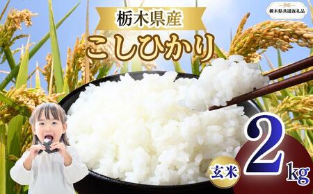 栃木県産 こしひかり 玄米 2kg 2026年 先行予約 | 栃木県 矢板市
