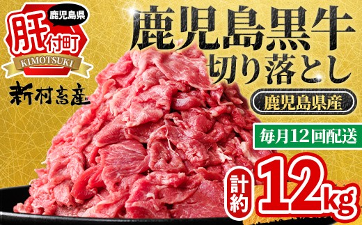 
                  F01001 ＜定期便・全12回・連続月＞鹿児島黒牛 切り落とし(計約12kg・約500g×2P×12回) 鹿児島 国産 九州産 鹿児島県産 黒毛和牛 国産牛 牛肉 切り落し 切落とし 切落し お肉 冷凍 小分け すきやき すき焼き 牛すき 牛丼 カレー 肉じゃが 炒め物 【新村畜産】
                