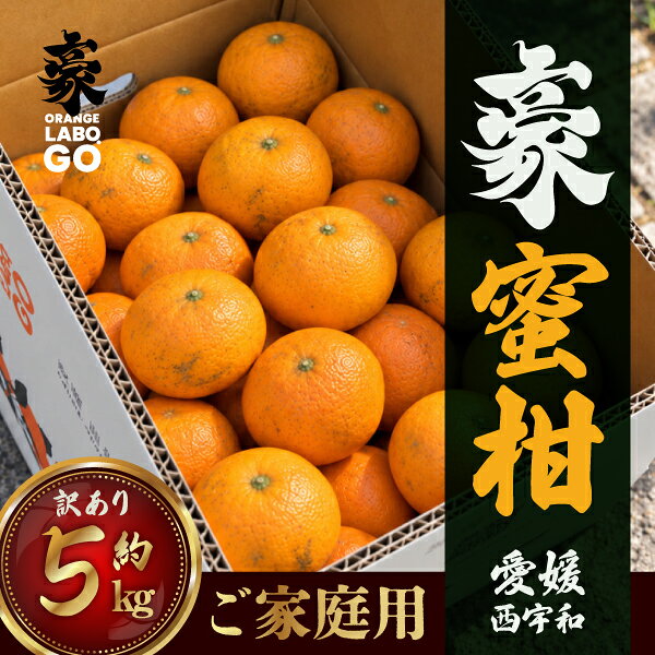 【ふるさと納税】【先行受付】豪蜜柑　5kg　ご家庭用【88-7】_ふるさと納税 蜜柑 みかん ミカン フルーツ 果物 柑橘 10kg 5kg 産地直送 愛媛県 八幡浜市 送料無料 家庭用 訳あり 訳有 YWTE007