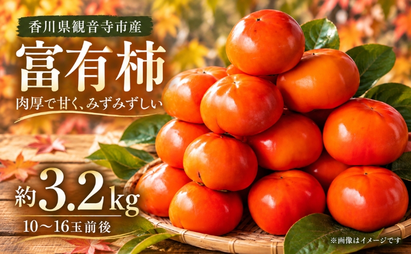 富有柿 約3.2kg 果物類 フルーツ 柿　 