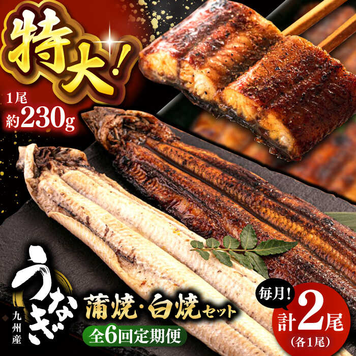 【ふるさと納税】全6回定期便 鹿児島産うなぎ2尾　蒲焼・白焼セット（たれ付き） ▼国産 ウナギ 特大 蒲焼き 特大 丑の日 食べ比べ 白焼き 定期便 桂川町/山水商事[ADAH019]