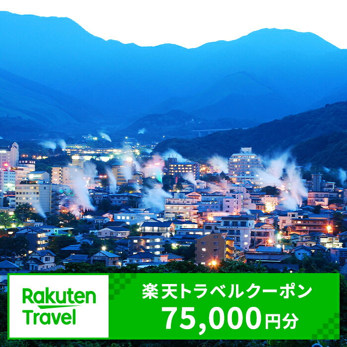 【ふるさと納税】大分県の対象施設で使える楽天トラベルクーポン　寄付額250,000円【optc007】