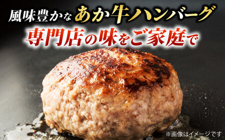 【全6回定期便】　くまもとあか牛100%手ごねハンバーグ　デミグラスソース煮込み（約300ｇ×３個　デミグラスソース込み）　【有限会社スイートサプライなかぞの】[ZBV101]