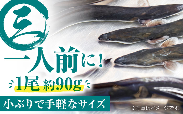 【12回定期便】高知県産 うなぎ蒲焼き 約90g×2尾 タレ付き 【株式会社 四国健商】 [ATAF148]