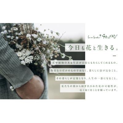 ふるさと納税 倉吉市 お花(生花)の6回定期便 |  | 02