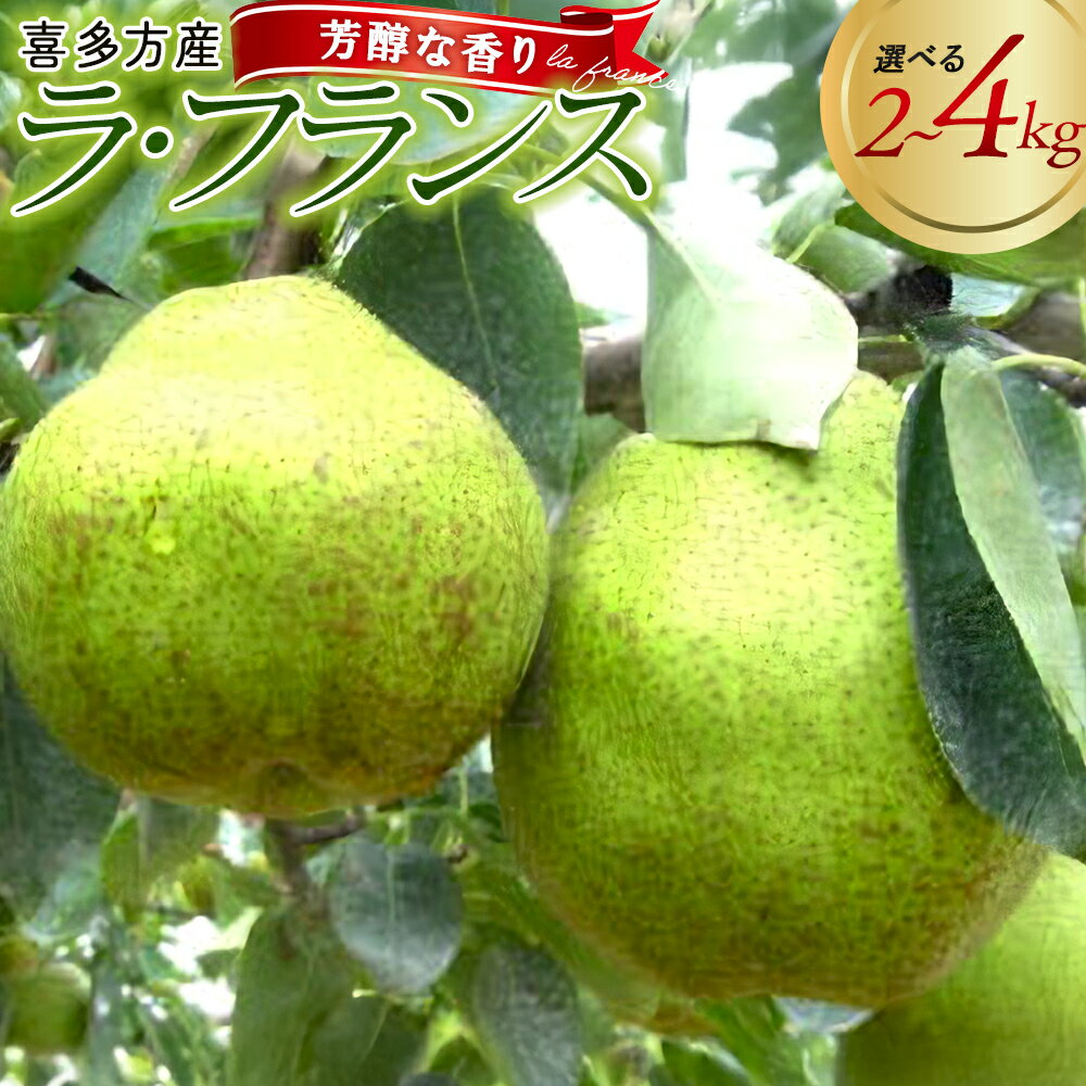 【ふるさと納税】【選べる内容量！】西洋なし（ラ・フランス）2kg～4kg 果物 果実 フルーツ 洋梨 洋ナシ 福島県 喜多方市 蒲生農園 [2026年11月上旬発送]　【07208-0812・0813・0814】