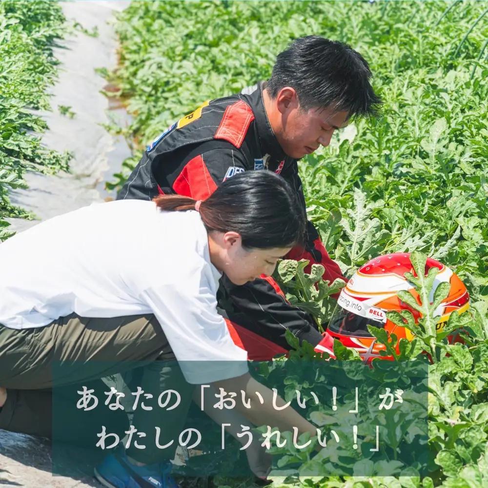 尾花沢プレミアすいか 祭りばやし777 大玉 4-5Lサイズ(約9~10kg) 1玉 令和8年産 nf-su45m1