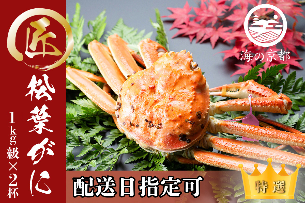 【配送日指定可】茹で松葉蟹 特大2杯（1,000g級）〈11月中旬～2026年3月末頃発送〉 蟹 カニ かに 松葉蟹 松葉ガニ ズワイガニ ボイル
