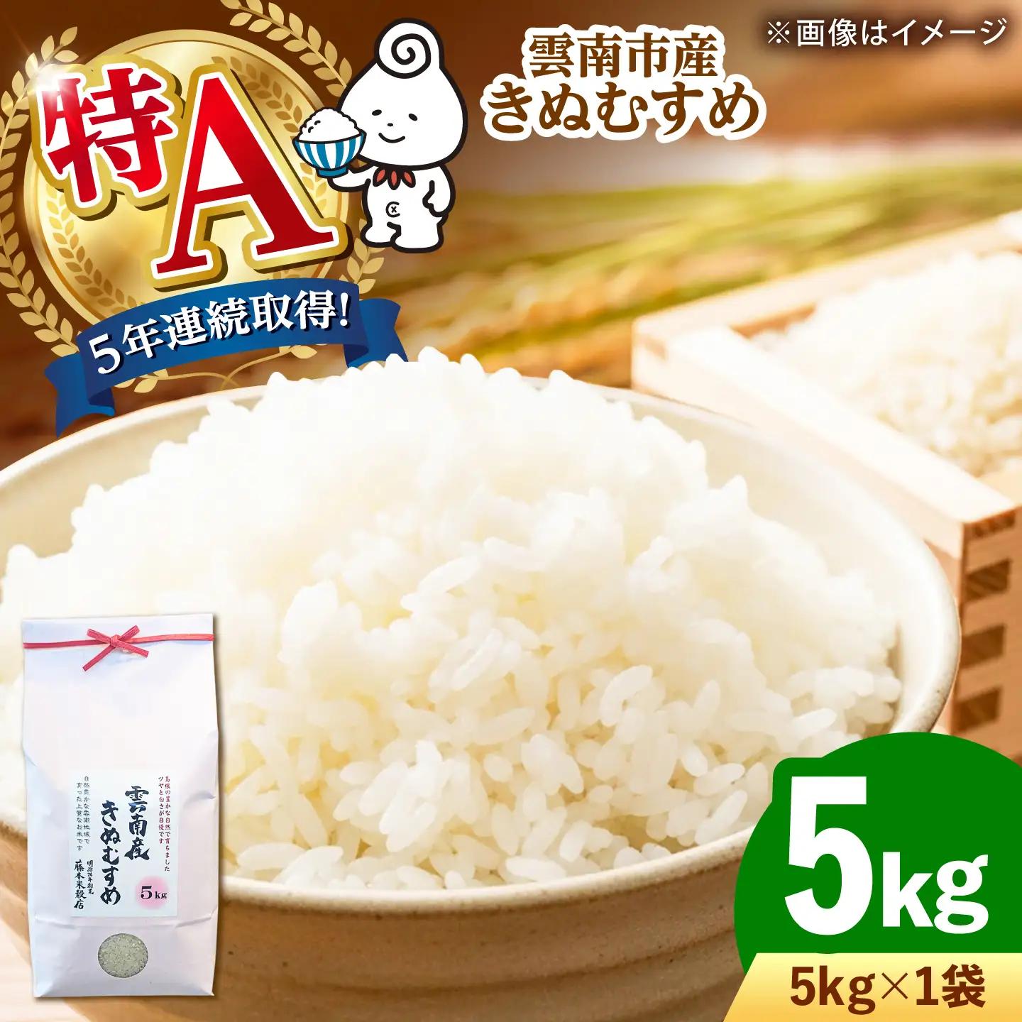 米 雲南市産きぬむすめ 5kg  [AIDB099] 米