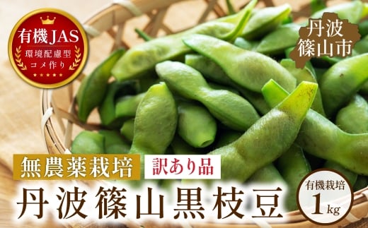 〈訳あり〉有機JAS認定 無農薬栽培 丹波篠山 黒枝豆 手選別 1kg│丹波篠山 黒枝豆 黒豆 丹波枝豆 丹波黒大豆枝豆 安全・安心 有機栽培　無農薬 有機JAS 新鮮 枝豆 豆 おつまみ 晩酌 黒枝豆 訳あり品 わけあり ワケアリ