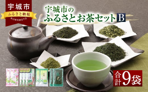 
            緑茶 宇城市のふるさとお茶 セット B 日本茶 茶葉 
          