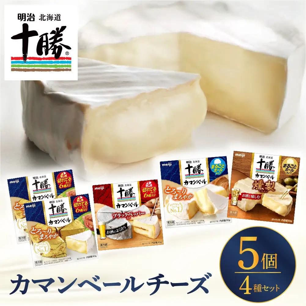 チーズ 4種 5個 セット 明治 北海道 十勝 カマンベール チーズ