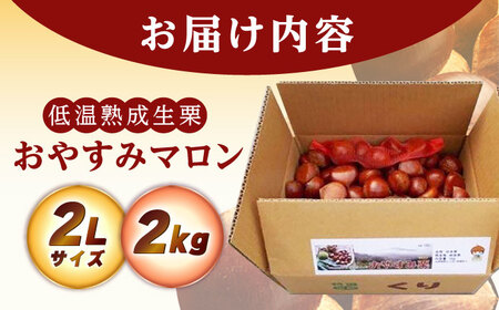 【先行予約】【2025年9月下旬〜10月上旬に順次発送】おやすみ栗（マロン）2kg（2Lサイズ）/ 栗 生栗 くり マロン 低温熟成 日本栗 国産 / 恵那市 / えな笠置山栗園 [AUAV001]
