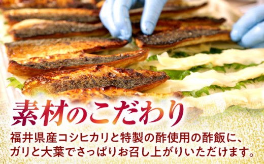 【着日指定可】 焼き鯖すし2種食べ比べセット｜鯖寿司 福井 2 ダブル さば さば寿司 生姜 ショウガ 大葉 コシヒカリ 国産 冷蔵 寿司 シンプル  しょうゆ 醤油 小浜 小浜市 若廣  【配送不可