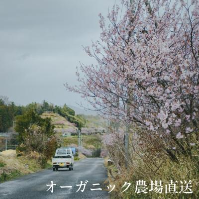 ふるさと納税 掛川市 しあわせ野菜畑の有機野菜　Sセット　(安心の有機JAS認証　旬のオーガニック野菜　農場直送便) |  | 01