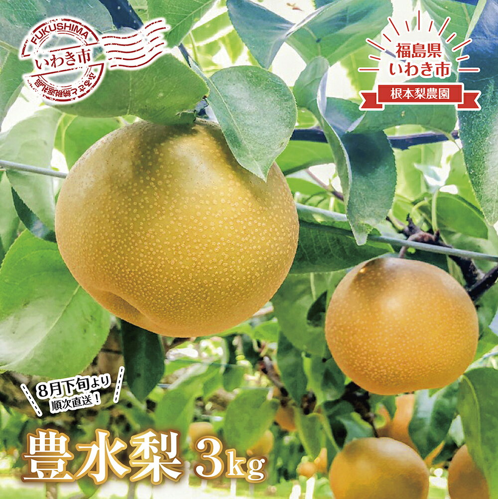 【ふるさと納税】《 先行予約 》 福島県 いわき市産 梨（ 豊水 ）3kg ｜ フルーツ 果物 くだもの 食品 人気 おすすめ 送料無料