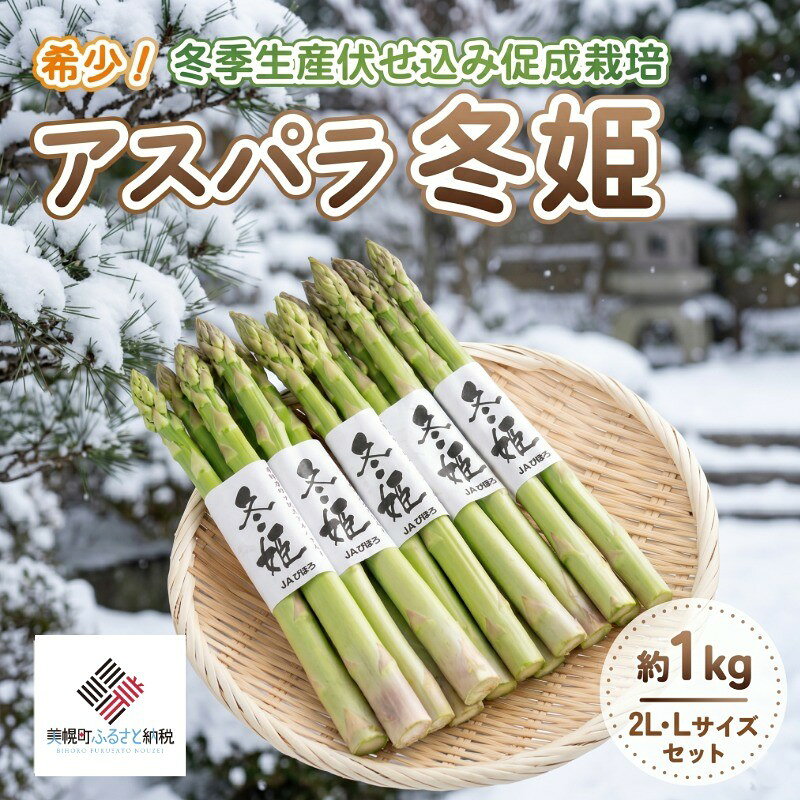 【ふるさと納税】 冬季生産伏せ込み 促成栽培アスパラ 「冬姫」 2L・Lセット 約1kg 【配送不可地域：離島】 （2026年11月中旬より順次発送） アスパラガス 促成栽培 野菜 新鮮 北海道 美幌町