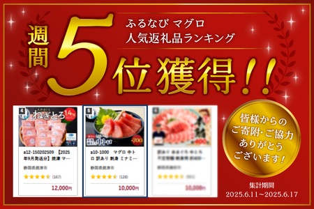 a10-1000202403　【2024年3月お届け】マグロ 中トロ 訳あり 刺身 ミナミマグロ 中トロ 切り落とし 約700g まぐろ 鮪 南まぐろ 南鮪