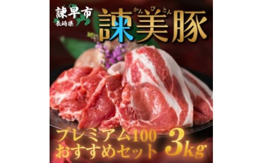 諫美豚プレミアム3kg / 豚肉 ぶたにく ロースステーキ ロース バラ モモ 切り落とし しゃぶしゃぶ 焼肉 冷凍 小分け 食べ比べ / 諫早市 / 株式会社土井農場 [AHAD054]