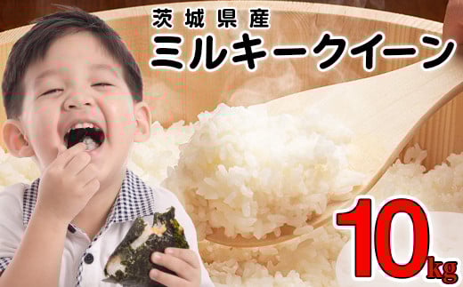 ミルキークイーン 10kg 精米 茨城県産 令和7年産【小松崎商事】440