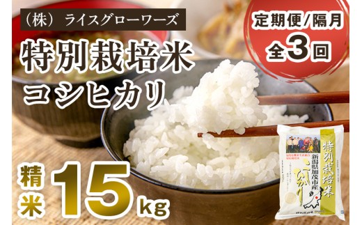 【令和7年産】【定期便3回隔月お届け】新潟県加茂市産 特別栽培米 コシヒカリ 精米 15kg（5kg×3）《順次出荷》 従来品種コシヒカリ 新潟県産コシヒカリ 新潟産コシヒカリ 新潟コシヒカリ 新潟県産こしひかり 新潟産こしひかり 新潟こしひかり コシヒカリ こしひかり お米 白米 米 定期便 （株）ライスグローワーズ