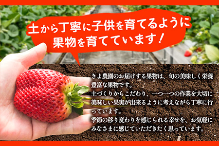 ＜先行予約＞希少！まりひめ　特大サイズ　約300g～350g×2パック きよ農園《2025年2月上旬-3月下頃出荷》 いちご 苺 まりひめ フルーツ 果物 スイーツ 送料無料