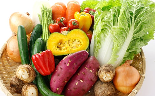 【定期便3回】 野菜 10品程度 詰め合わせ 3ヶ月 定期便 やさい 詰合せ セット【メロンドーム】