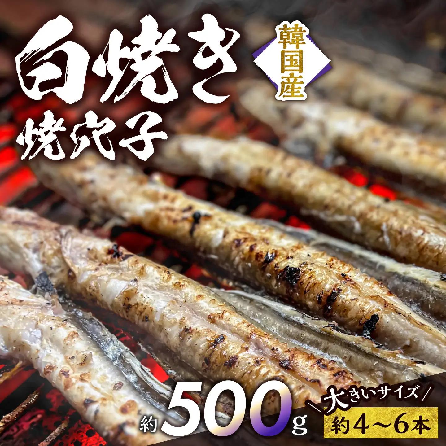 焼穴子 白焼き 約500g（韓国産・大きいサイズ約4～6本）【穴子】